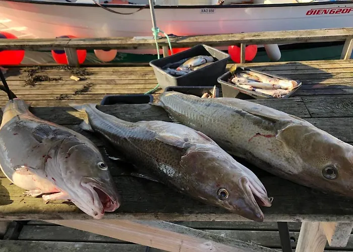 Apartmán Cozy In Farsund