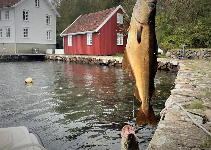 Cozy In Apartmán Farsund