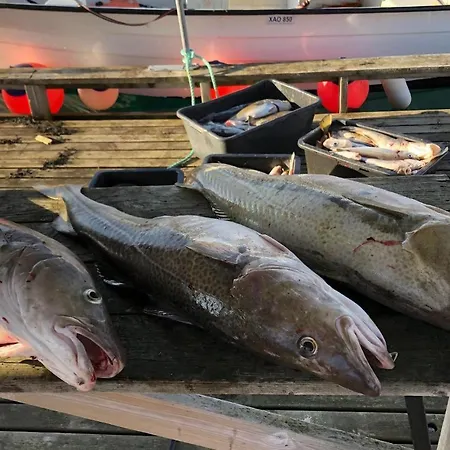 Appartamento Cozy In Farsund