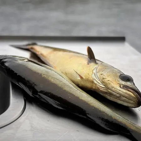 Appartamento Cozy In Farsund