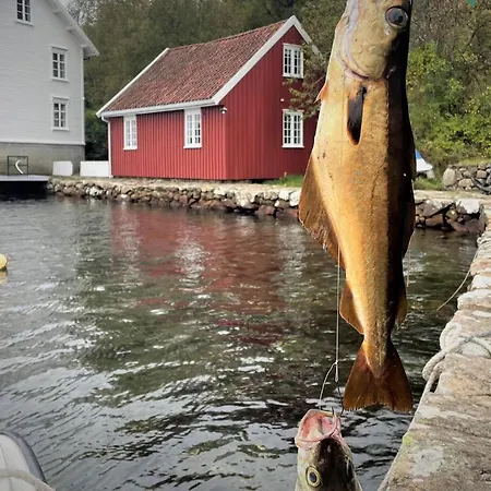 Cozy In Appartamento Farsund